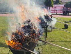 HUT Bhayangkara ke-79, Polres Aceh Utara Bakar 73 Kg Ganja dan Hancurkan Sabu