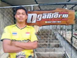 Diterpa Fitnah di Medsos, Peternak Ayam Thailand “Ogan Farm” Tempuh Jalur Hukum