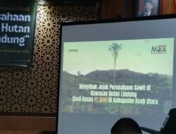 PT IBAS Rampas Tanah Ulayat Dikawasan Hutan Produksi