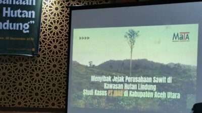 PT IBAS Rampas Tanah Ulayat Dikawasan Hutan Produksi