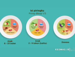 Mengenal Konsep Program Isi Piringku, Pengganti Program 4 Sehat 5 Sempurna