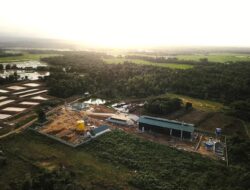 PT IBAS Tegaskan Tak Miliki HGU, Bahan Baku Sawit 100 Persen dari Kebun Masyarakat