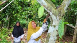 Dari Kebun ke Usaha, Program Pertamina Hulu Energi dan Pertamina Hulu Rokan Ubah Nasib Perempuan