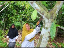 Dari Kebun ke Usaha, Program Pertamina Hulu Energi dan Pertamina Hulu Rokan Ubah Nasib Perempuan