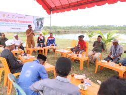 Dukung Pelestarian Ekosistem, PHE NSO Tanam Ratusan Mangrove dan Tebar 700 Bibit Kepiting